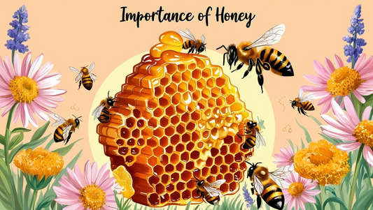 Importance of Honey