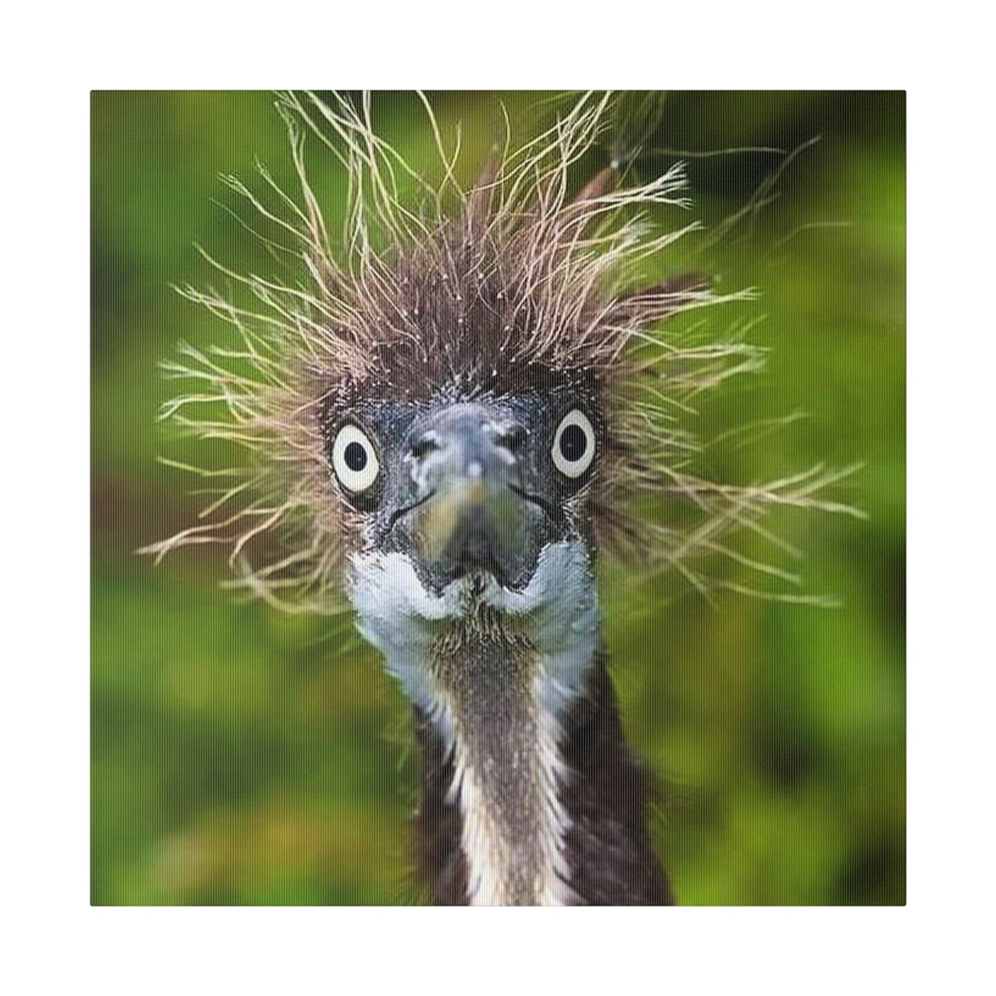 Ostrich Matte Canvas
