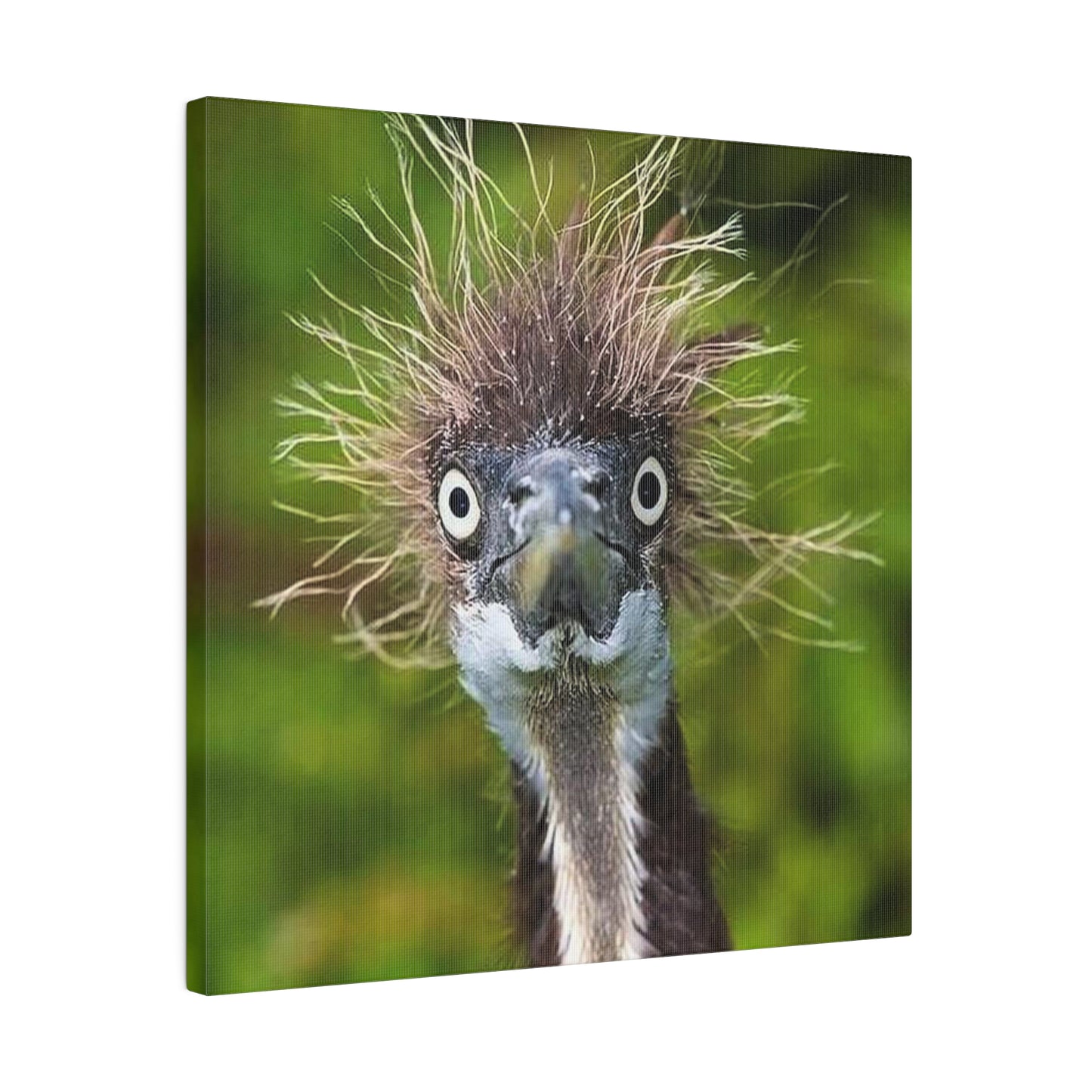 Ostrich Matte Canvas