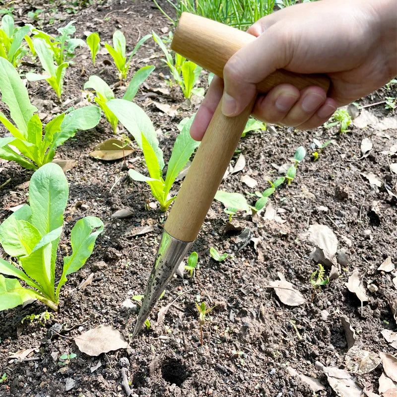 A T-shaped hole puncher seeder made of stainless steel, featuring a wooden handle; designed to create precise holes in soil for planting seeds or bulbs; ensures accurate seed placement and depth for optimal growth