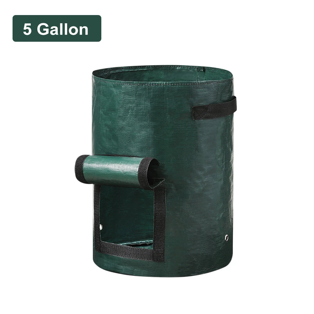A durable, non-woven fabric potato grow bag with reinforced handles and a flap window, designed for cultivating potatoes in confined spaces. The breathable material ensures proper drainage and aeration, promoting healthy root development, while the access flap allows for easy harvesting without disturbing the plant
