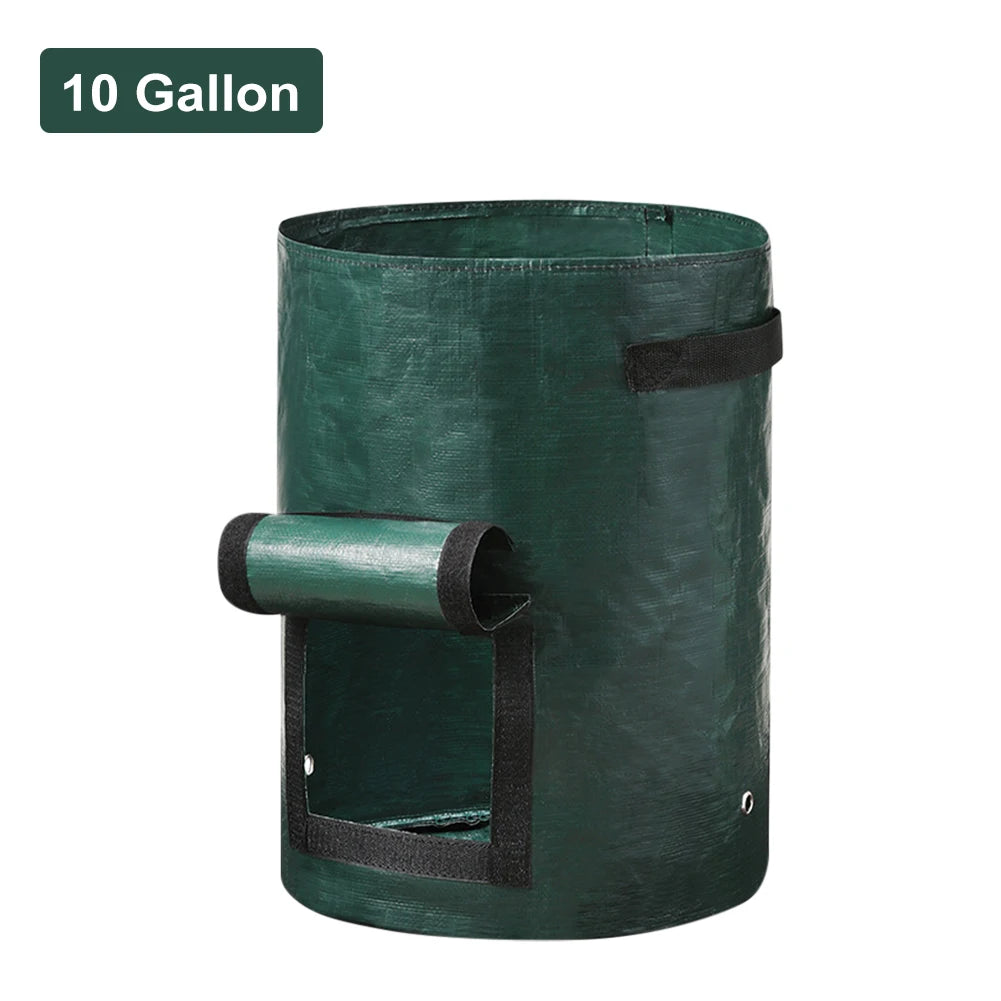A durable, non-woven fabric potato grow bag with reinforced handles and a flap window, designed for cultivating potatoes in confined spaces. The breathable material ensures proper drainage and aeration, promoting healthy root development, while the access flap allows for easy harvesting without disturbing the plant