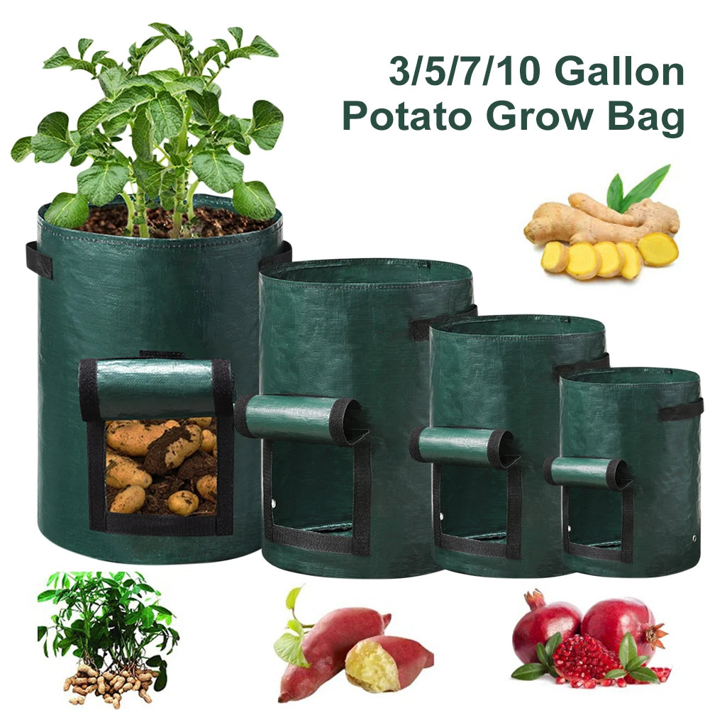 A durable, non-woven fabric potato grow bag with reinforced handles and a flap window, designed for cultivating potatoes in confined spaces. The breathable material ensures proper drainage and aeration, promoting healthy root development, while the access flap allows for easy harvesting without disturbing the plant