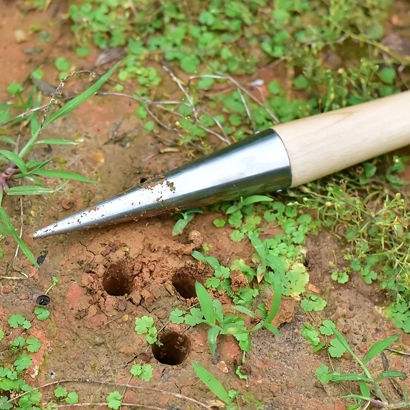 A T-shaped hole puncher seeder made of stainless steel, featuring a wooden handle; designed to create precise holes in soil for planting seeds or bulbs; ensures accurate seed placement and depth for optimal growth