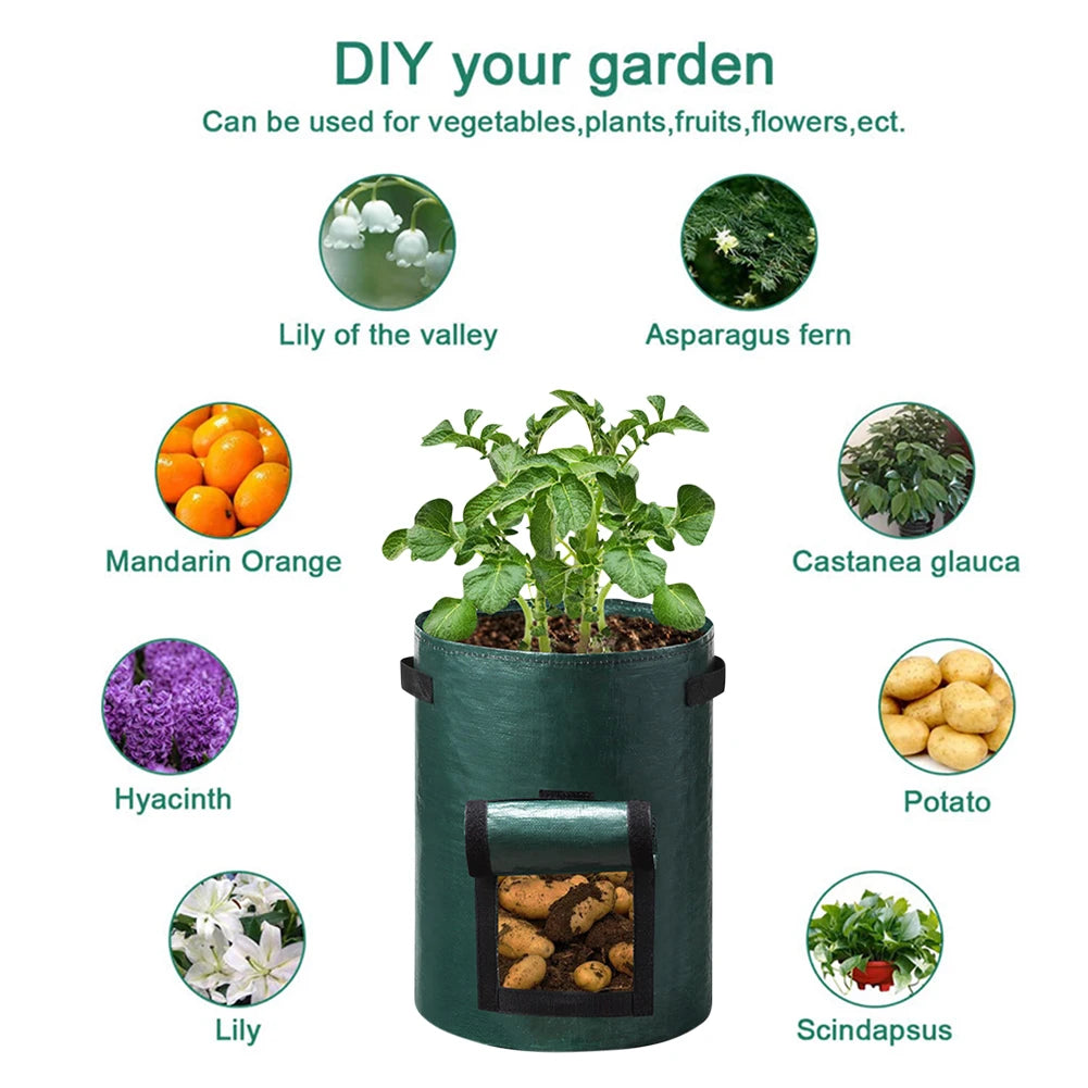 A durable, non-woven fabric potato grow bag with reinforced handles and a flap window, designed for cultivating potatoes in confined spaces. The breathable material ensures proper drainage and aeration, promoting healthy root development, while the access flap allows for easy harvesting without disturbing the plant