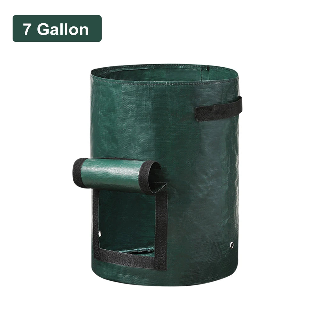 A durable, non-woven fabric potato grow bag with reinforced handles and a flap window, designed for cultivating potatoes in confined spaces. The breathable material ensures proper drainage and aeration, promoting healthy root development, while the access flap allows for easy harvesting without disturbing the plant