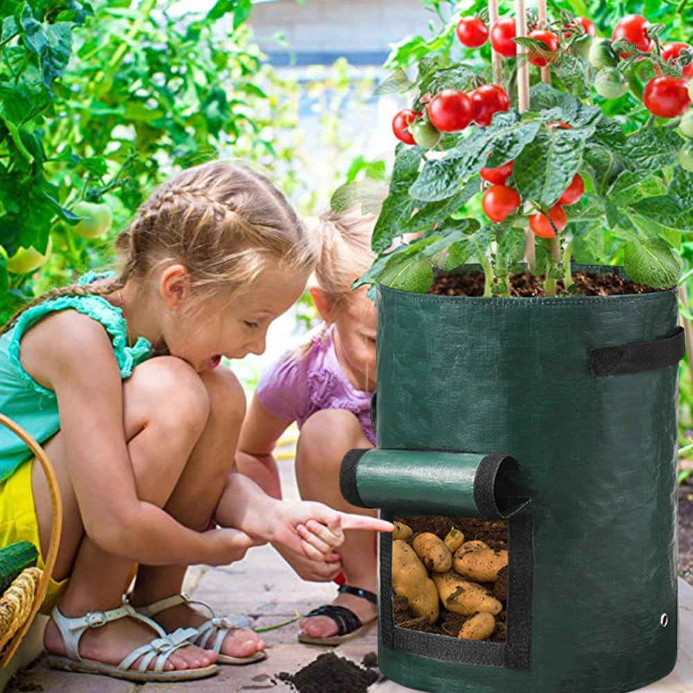A durable, non-woven fabric potato grow bag with reinforced handles and a flap window, designed for cultivating potatoes in confined spaces. The breathable material ensures proper drainage and aeration, promoting healthy root development, while the access flap allows for easy harvesting without disturbing the plant