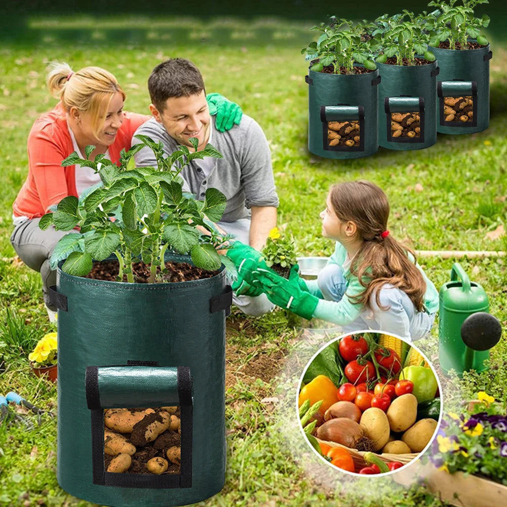 A durable, non-woven fabric potato grow bag with reinforced handles and a flap window, designed for cultivating potatoes in confined spaces. The breathable material ensures proper drainage and aeration, promoting healthy root development, while the access flap allows for easy harvesting without disturbing the plant
