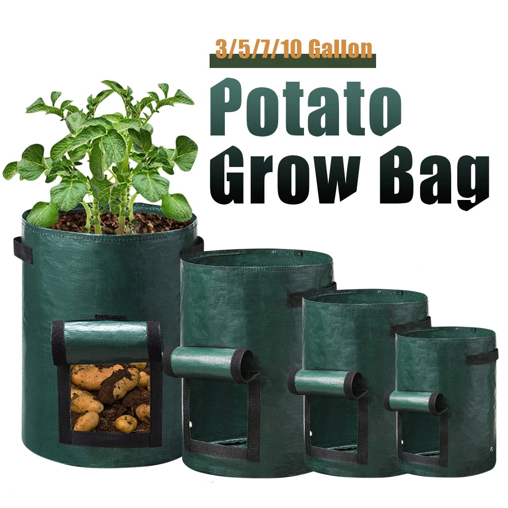 A durable, non-woven fabric potato grow bag with reinforced handles and a flap window, designed for cultivating potatoes in confined spaces. The breathable material ensures proper drainage and aeration, promoting healthy root development, while the access flap allows for easy harvesting without disturbing the plant
