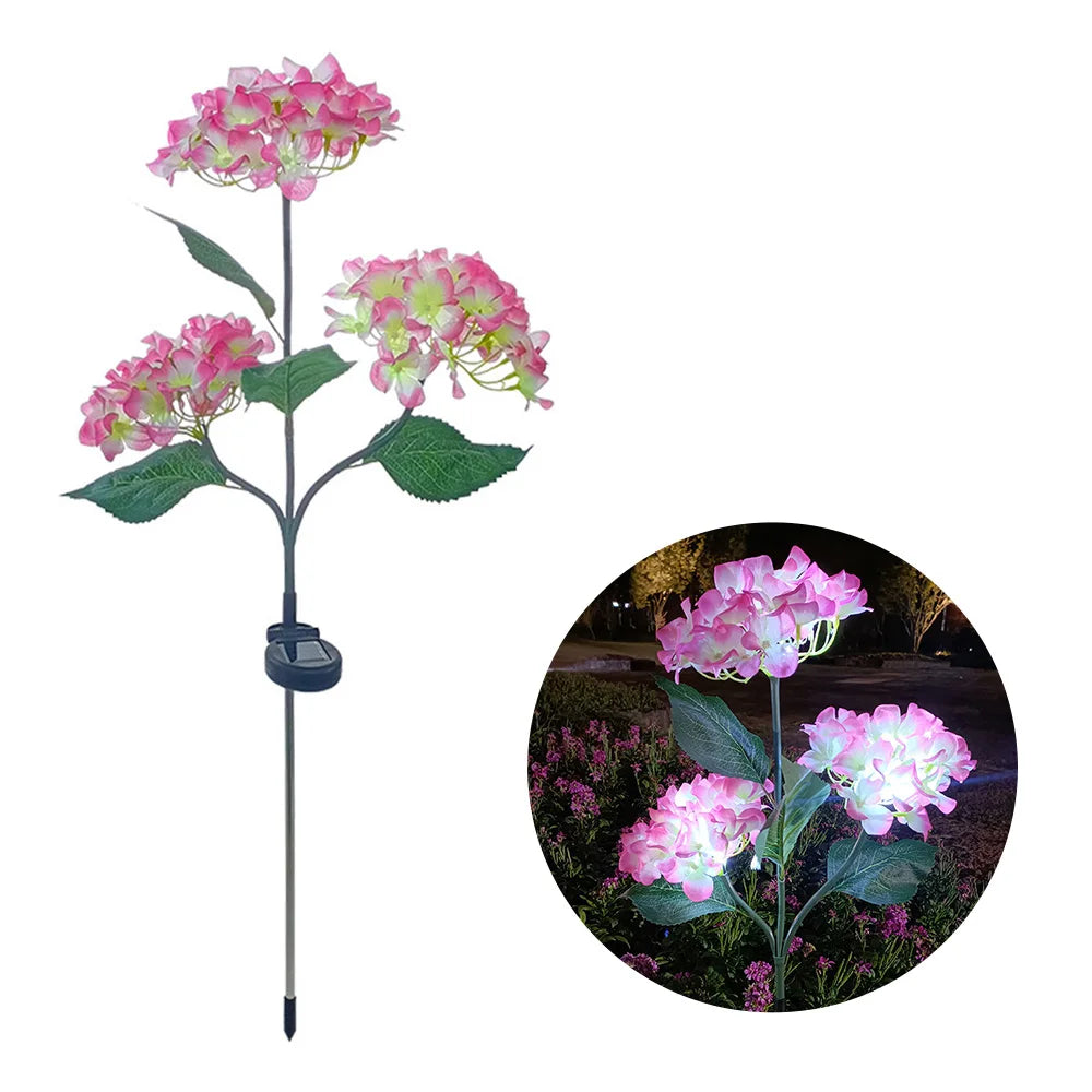 Hortensia Rosa Flor Solar