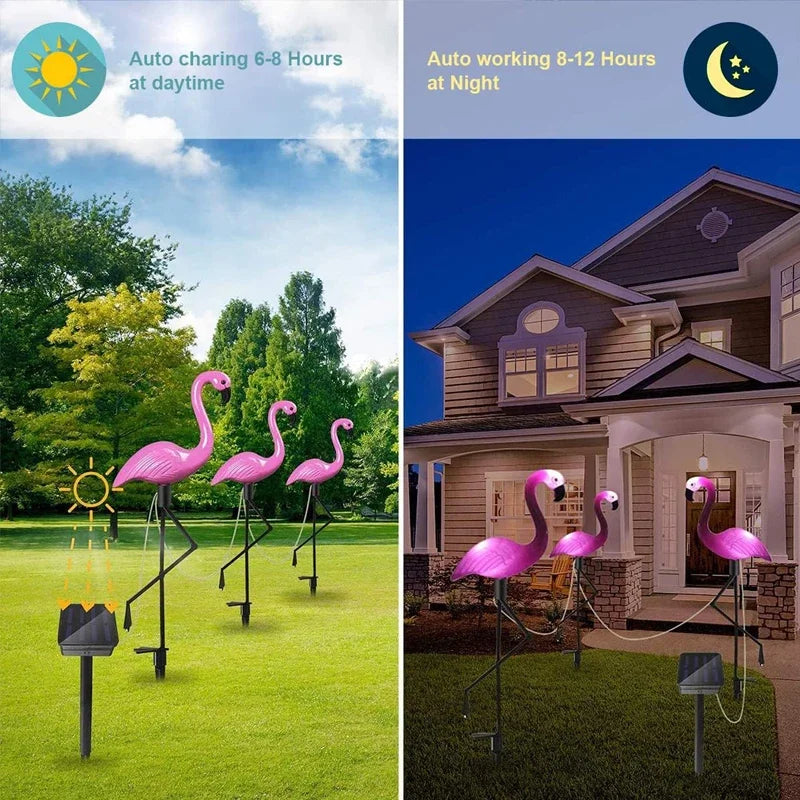 Solar Lights for Garden Decoration
