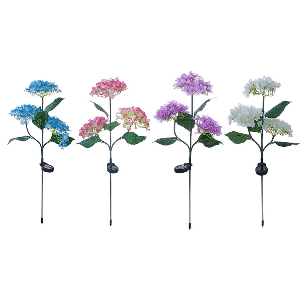 Hortensia Rosa Flor Solar