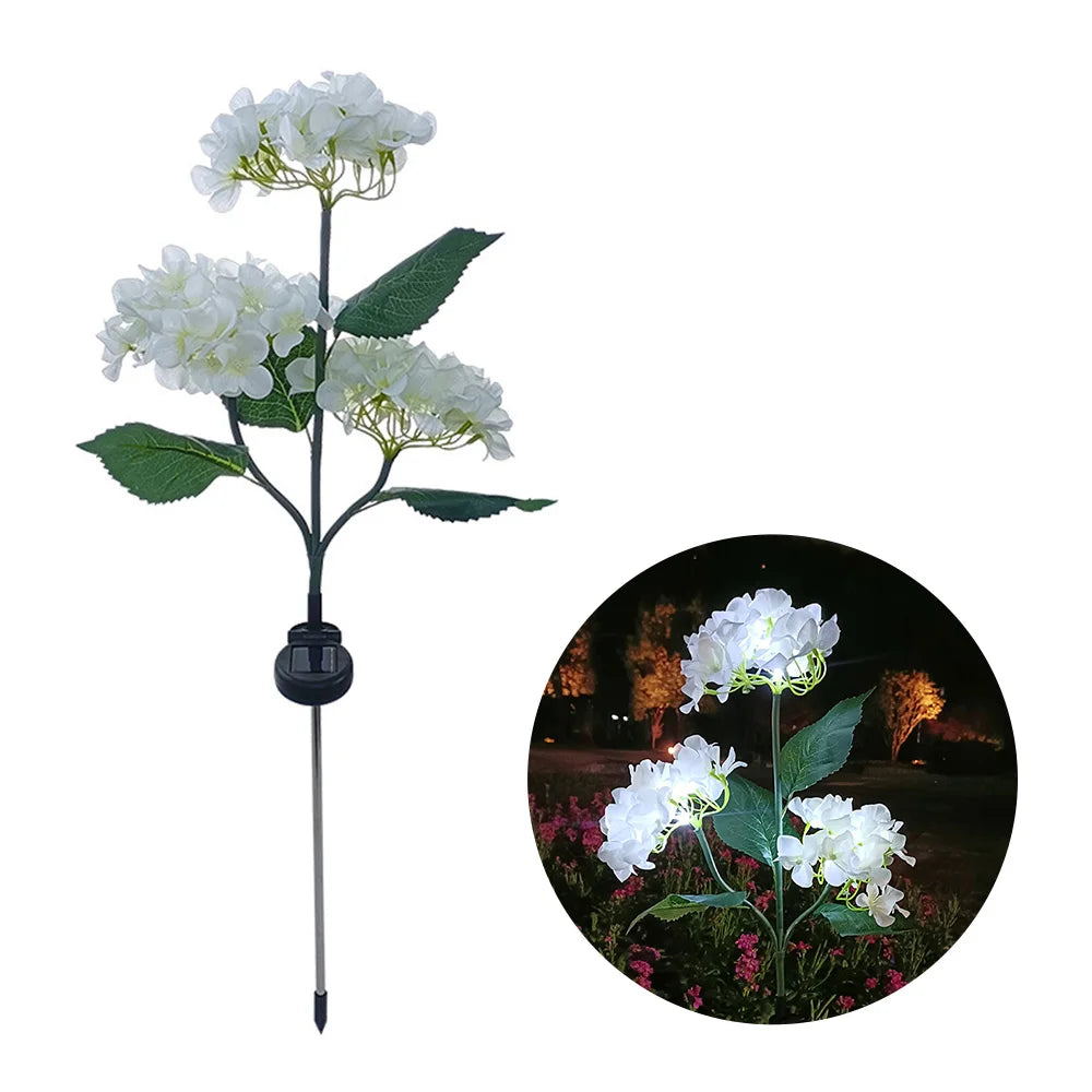 Hortensia Rosa Flor Solar