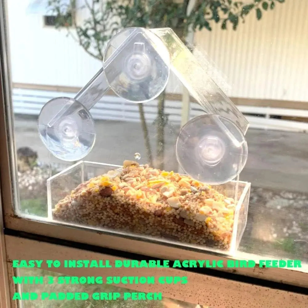 Acrylic Bird Feeder Clear Window
