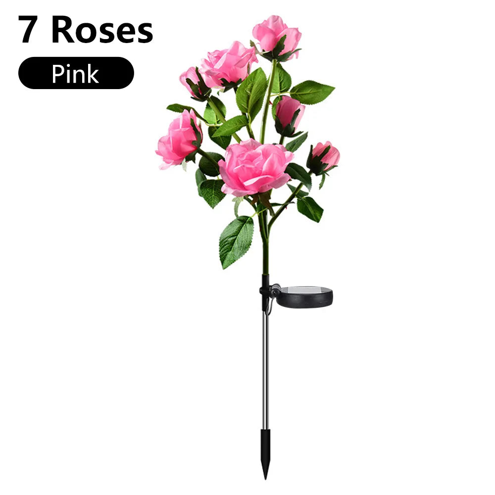 Hortensia Rosa Flor Solar