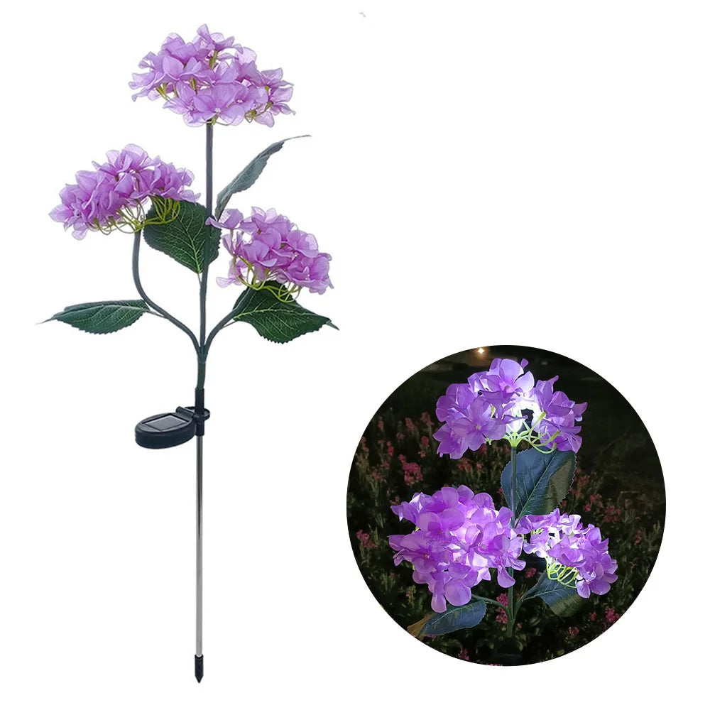 Hortensia Rosa Flor Solar