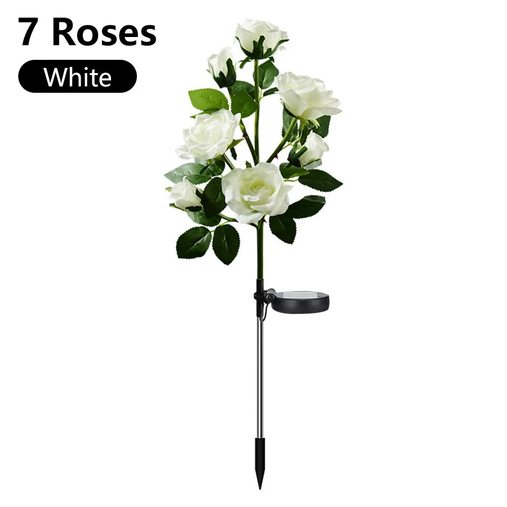 Hortensia Rosa Flor Solar