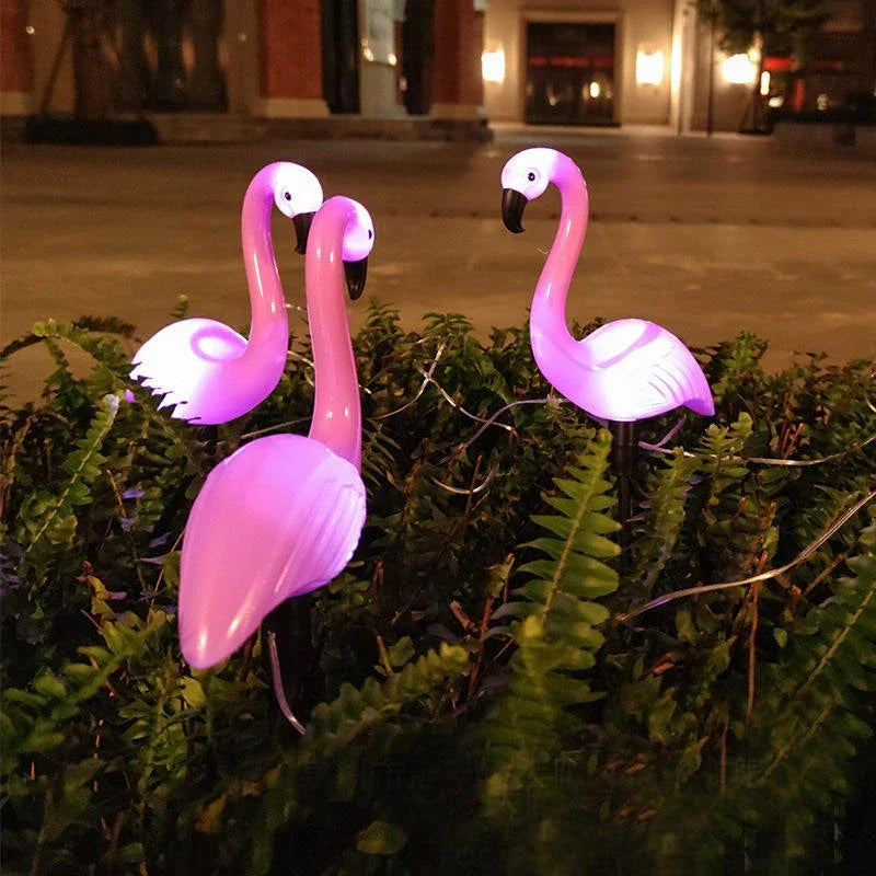 Solar Lights for Garden Decoration
