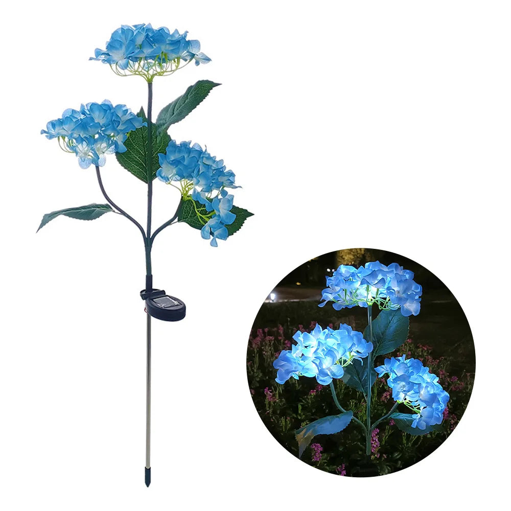 Hortensia Rosa Flor Solar