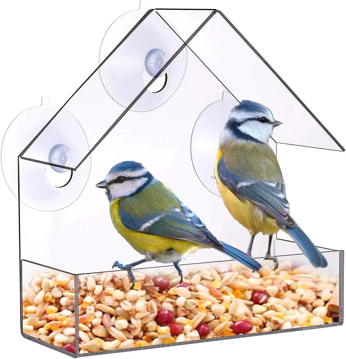 Acrylic Bird Feeder Clear Window