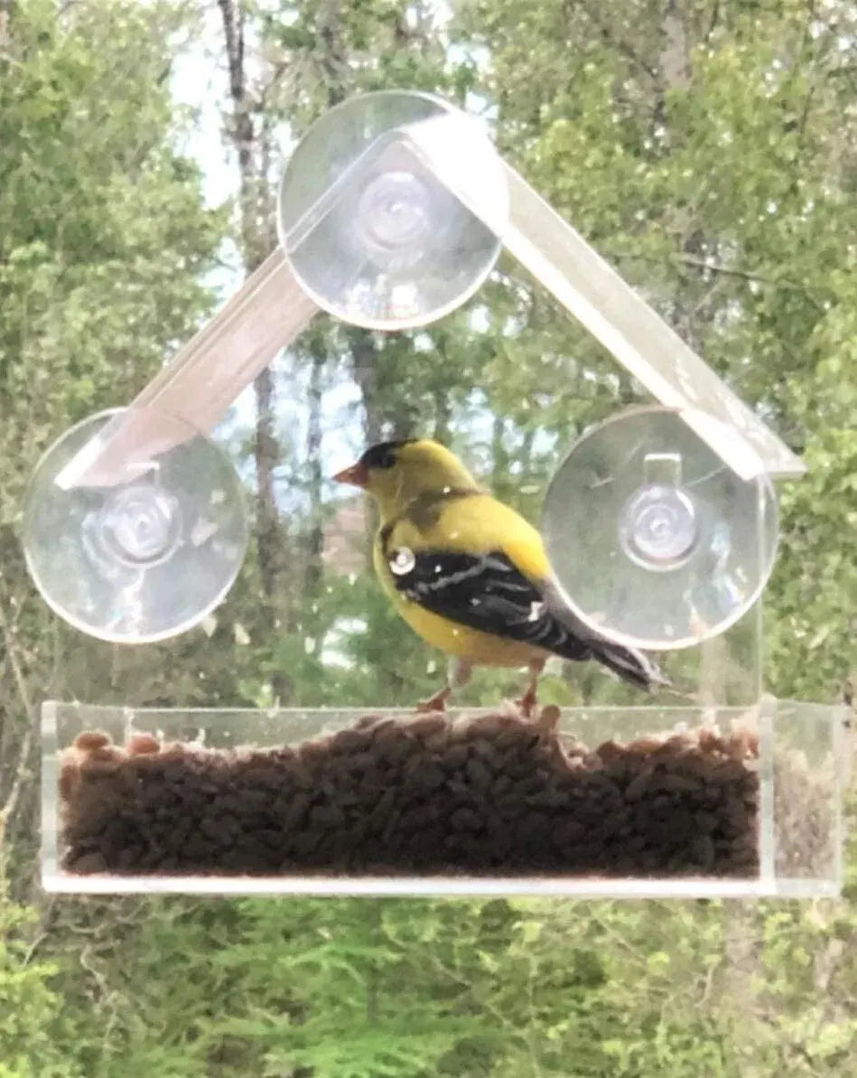 Acrylic Bird Feeder Clear Window