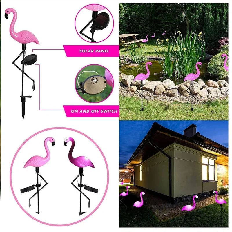 Solar Lights for Garden Decoration