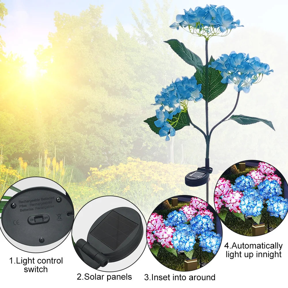Hortensia Rosa Flor Solar