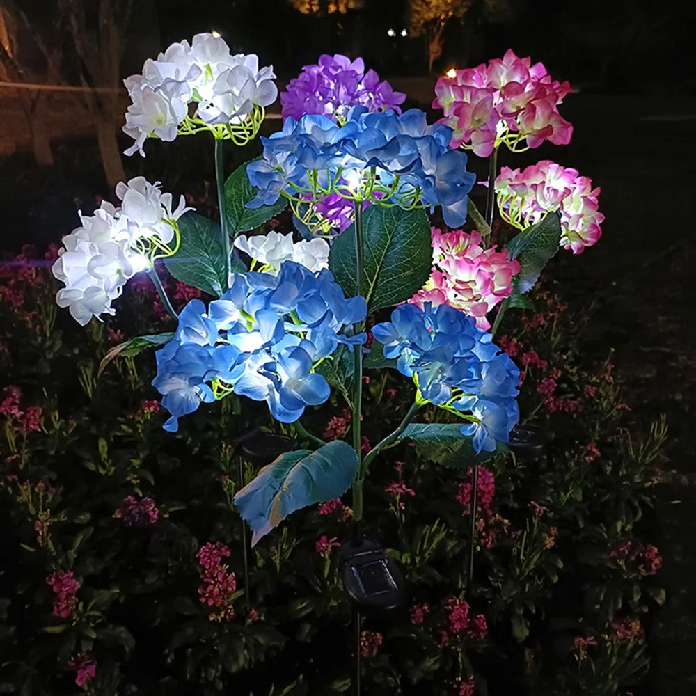 Hortensia Rosa Flor Solar