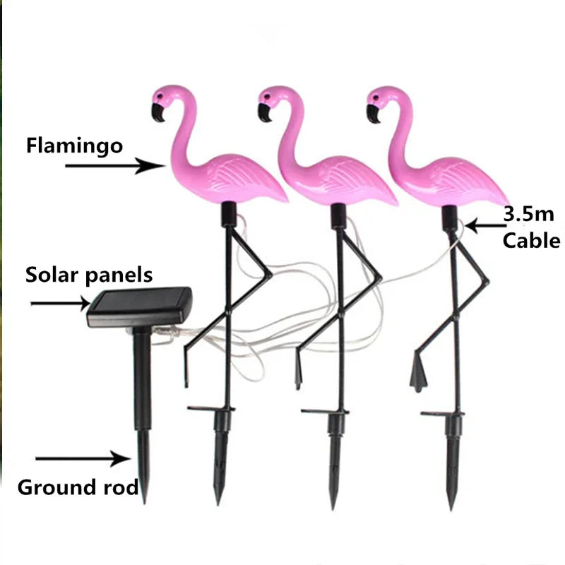 Solar Lights for Garden Decoration