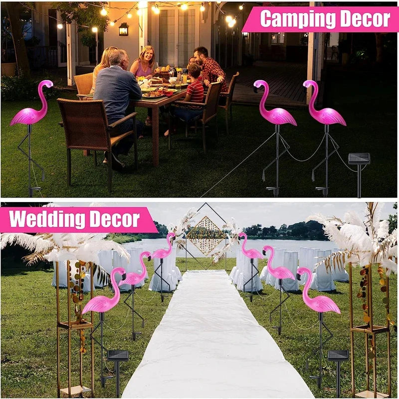 Solar Lights for Garden Decoration