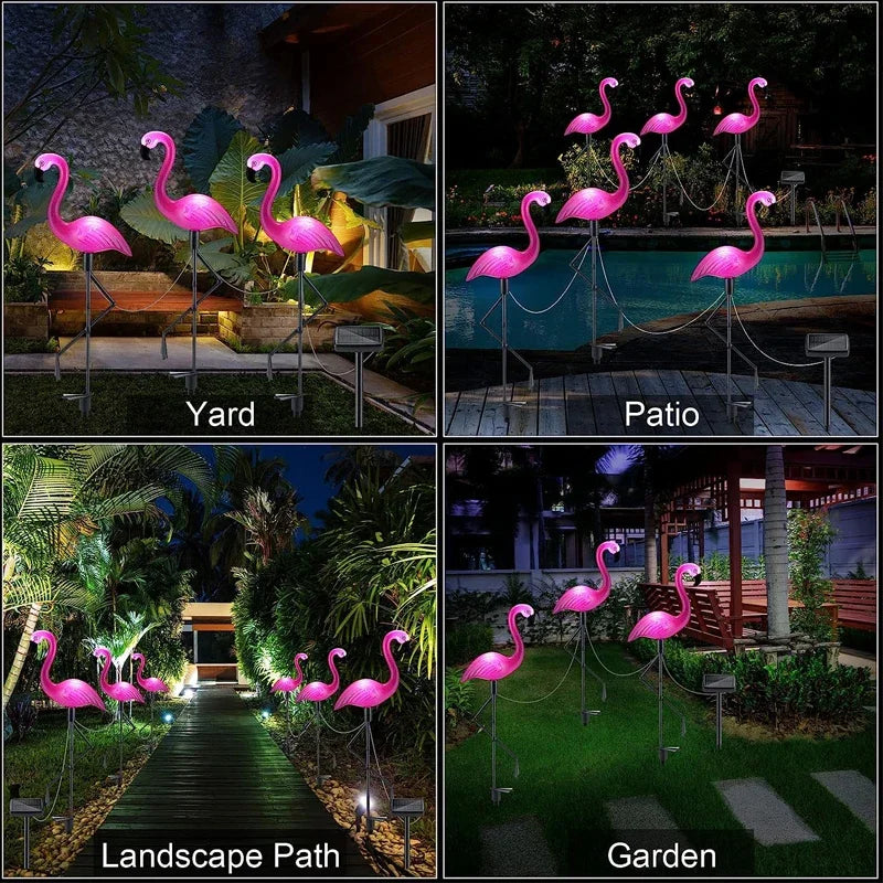Solar Lights for Garden Decoration