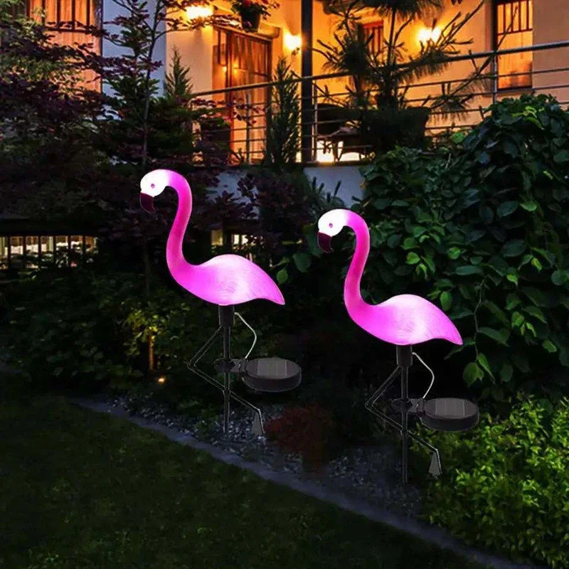 Solar Lights for Garden Decoration
