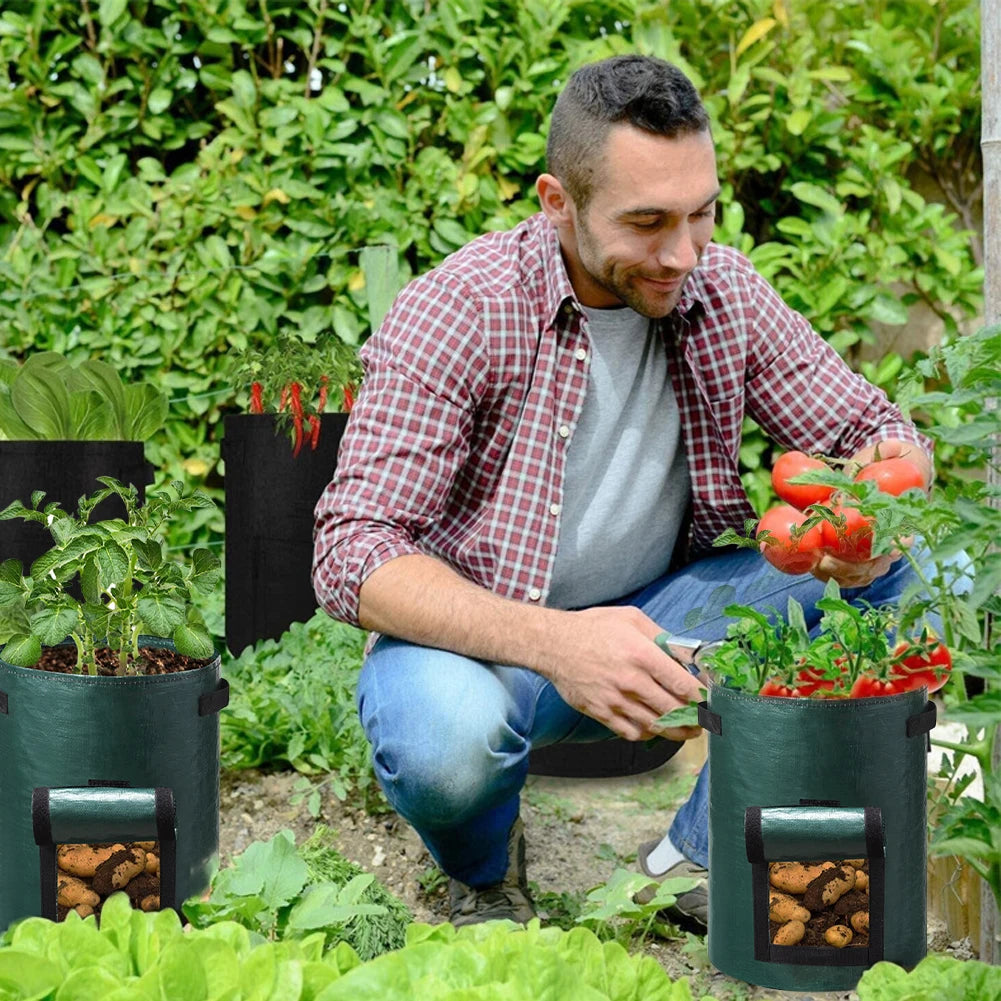 A durable, non-woven fabric potato grow bag with reinforced handles and a flap window, designed for cultivating potatoes in confined spaces. The breathable material ensures proper drainage and aeration, promoting healthy root development, while the access flap allows for easy harvesting without disturbing the plant