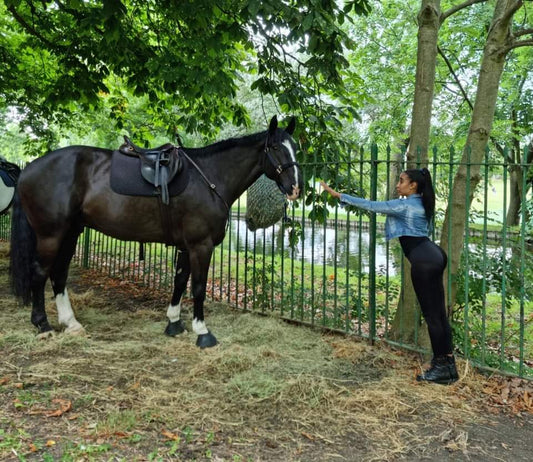 Warrior Horses