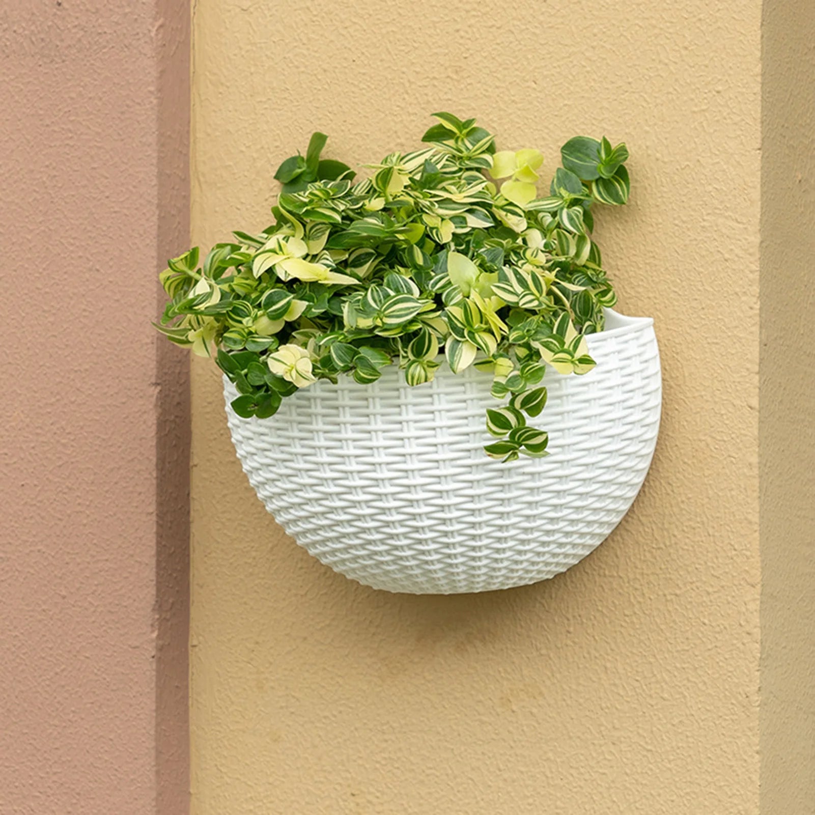 A durable plastic wall-mounted hanging planter in a half-round design, securely attached to a balcony railing. It is filled with vibrant blooming flowers, adding a touch of nature and color to the outdoor space.