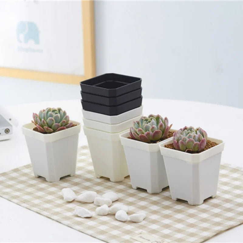 Mini Square Flowerpot