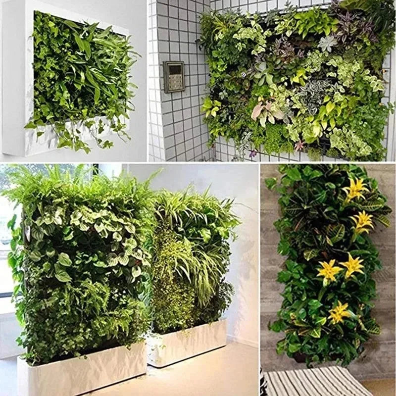 Wall Hanging Planting