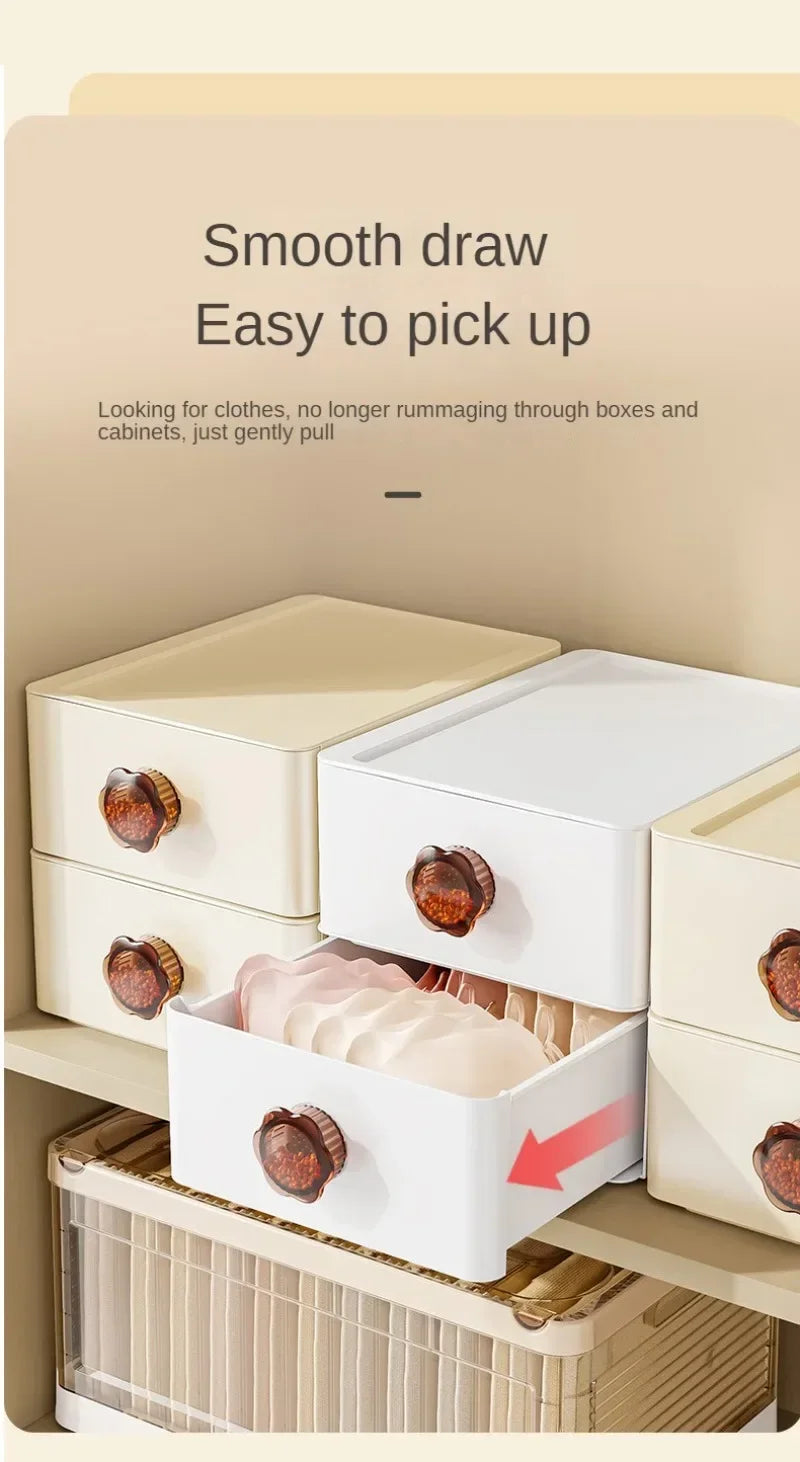 Underwear Storage Drawers