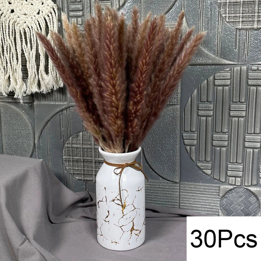 Dried Pampa Natural Decoratios