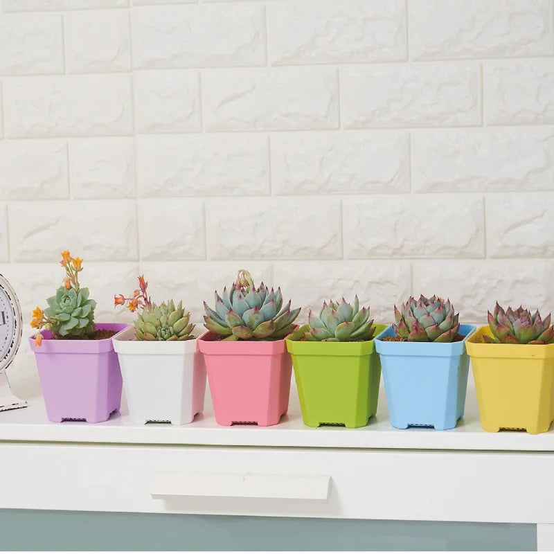 Mini Square Flowerpot