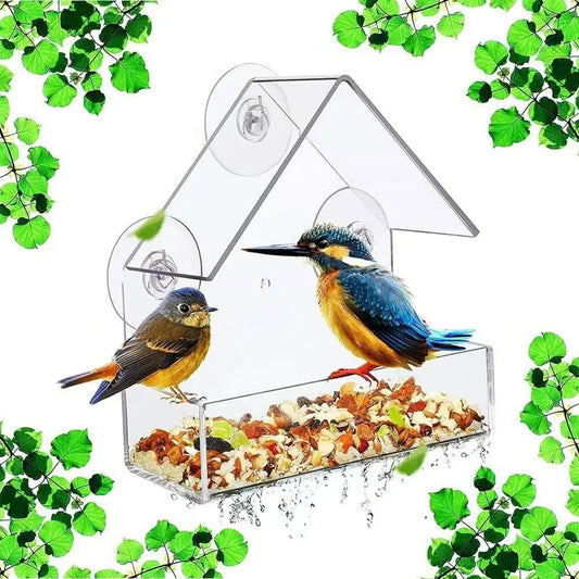 Acrylic Bird Feeder Clear Window
