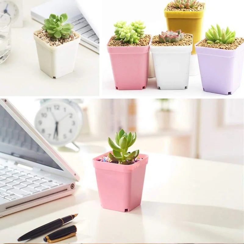 Mini Square Flowerpot