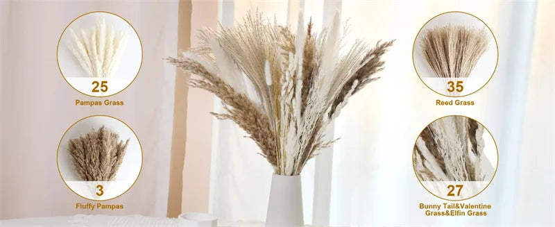 Dried Pampa Natural Decoratios