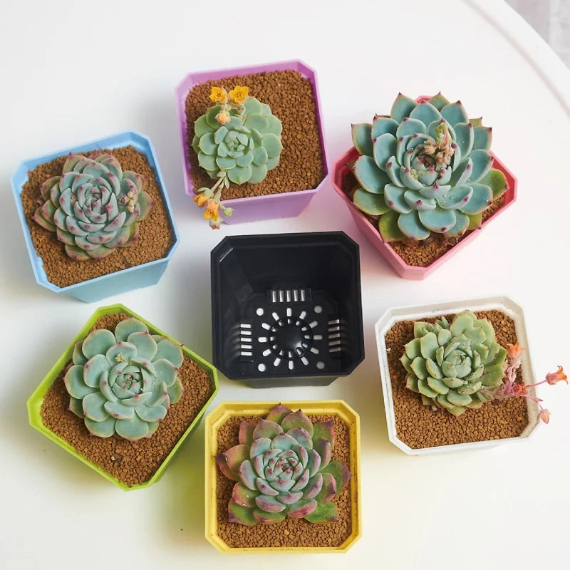 Mini Square Flowerpot