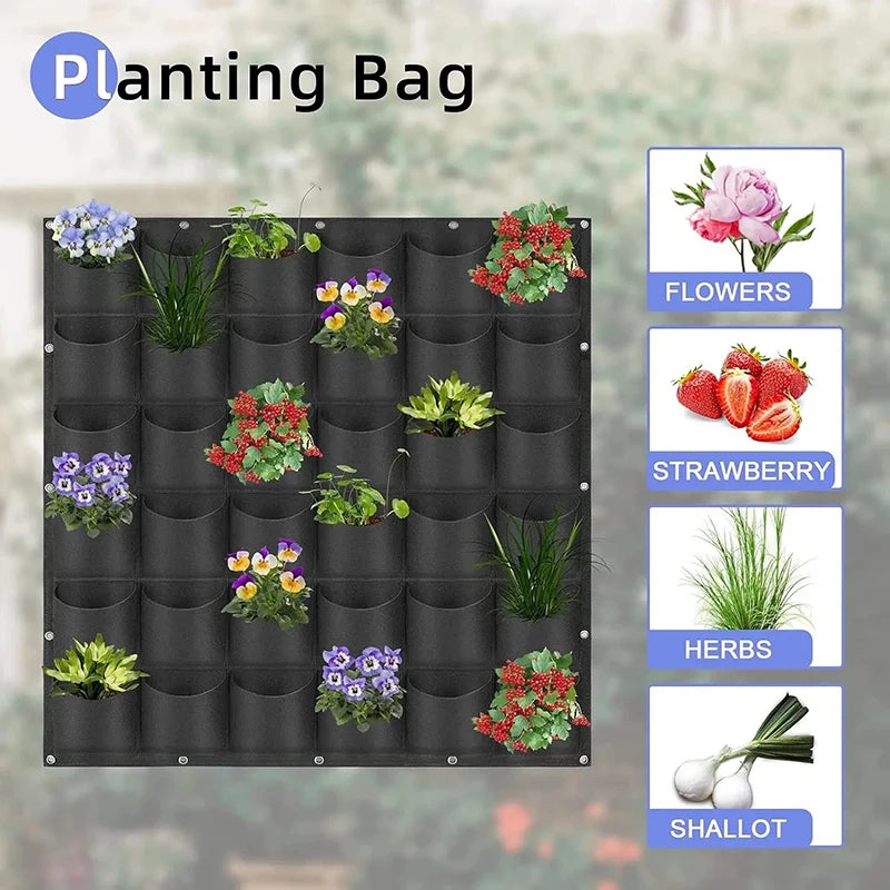 Wall Hanging Planting