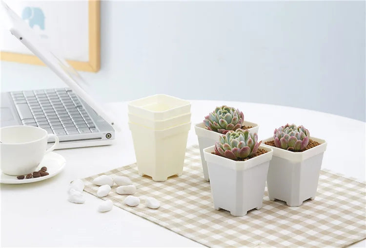 Mini Square Flowerpot