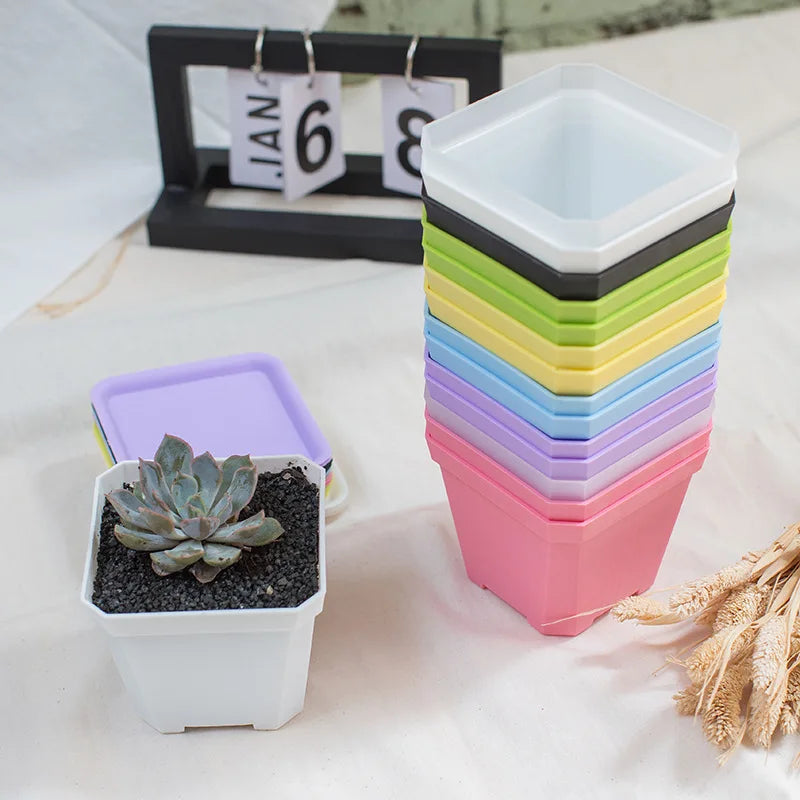 Mini Square Flowerpot