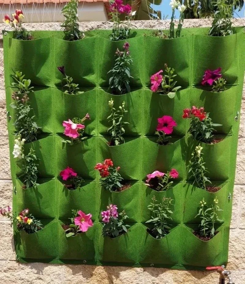 Wall Hanging Planting