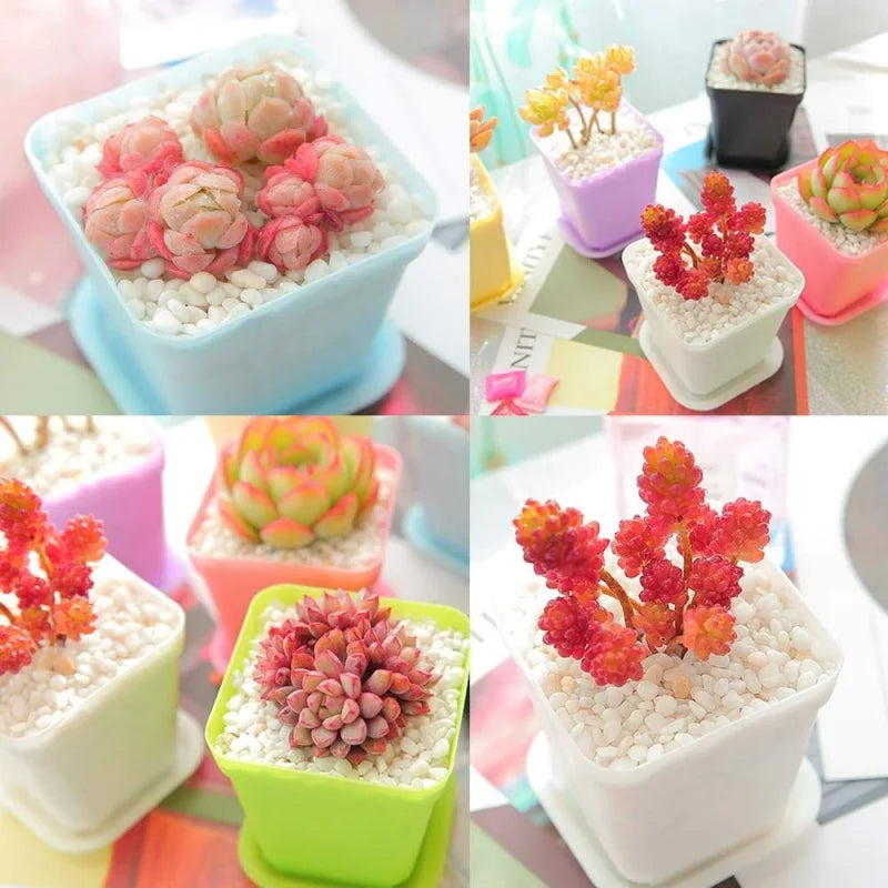 Mini Square Flowerpot