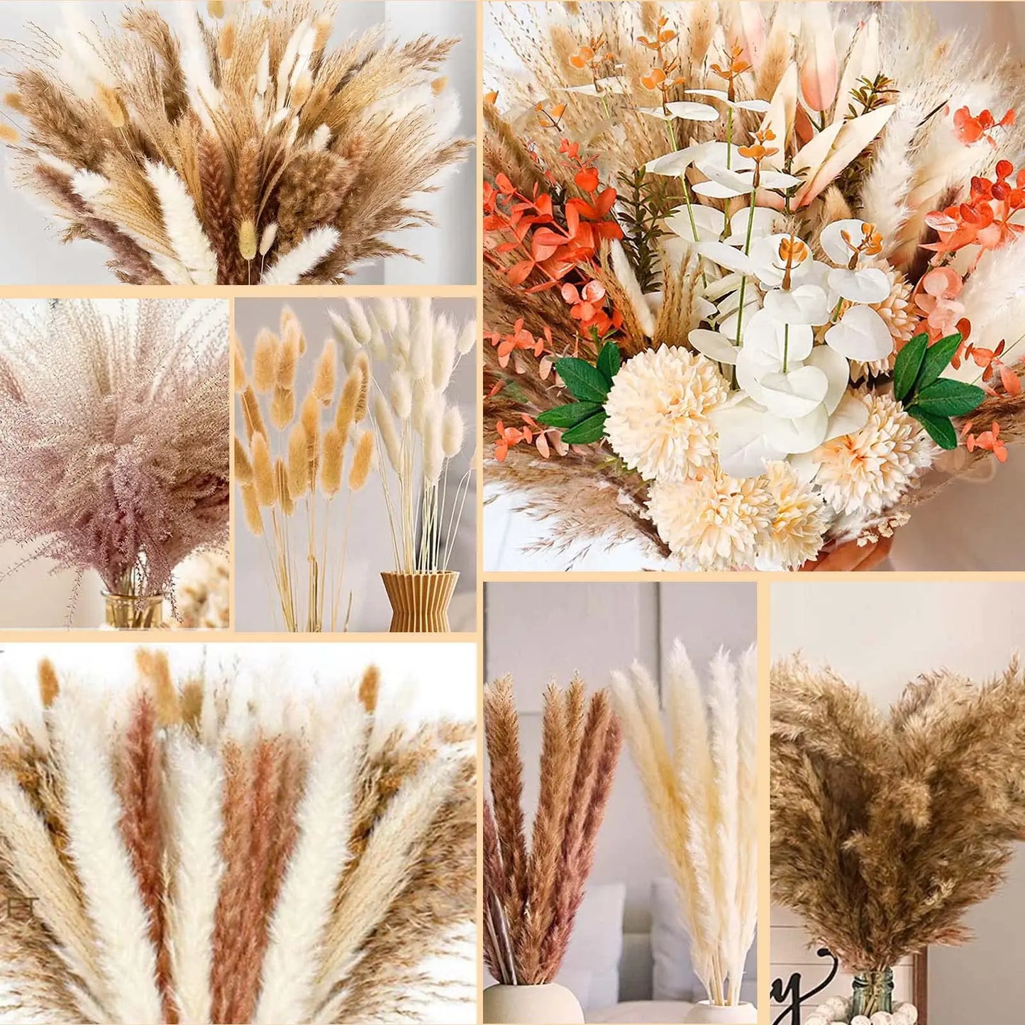 Dried Pampa Natural Decoratios